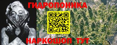 крисы Кимры