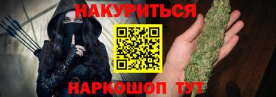 шишки Кингисепп