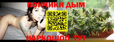 шишки Кингисепп