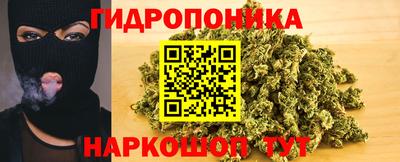 крисы Кимры