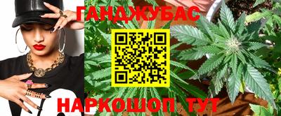 шишки Кингисепп