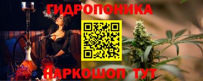 крисы Кимры