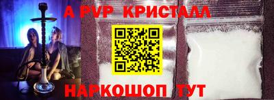 шишки Кингисепп