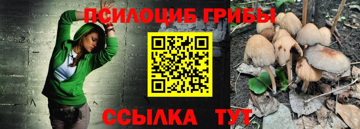 Комсомольск-на-Амуре  Галлюциногенные грибы GOLDEN TEACHER  цена   Вход с VPN 