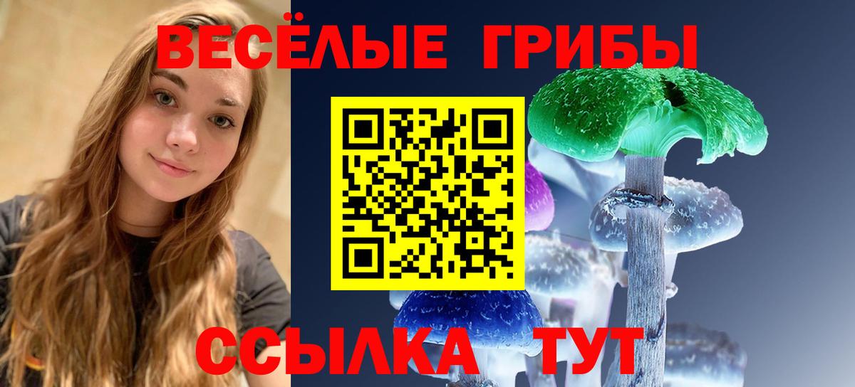 Галлюциногенные грибы Комсомольск-на-Амуре